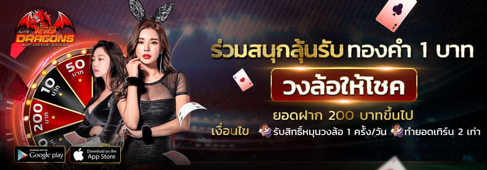 บาคาร่า มือใหม่2